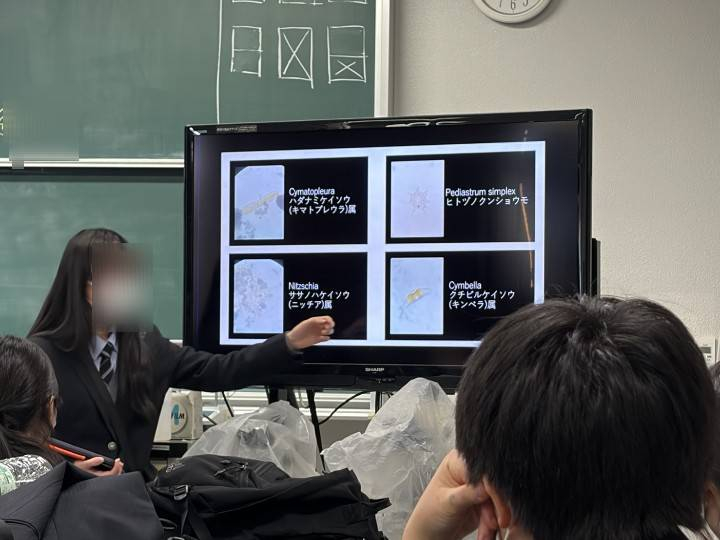 メディア (4) (1)